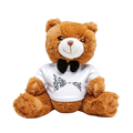 THIS MIGHT BE NOTHING TEDDY BEAR