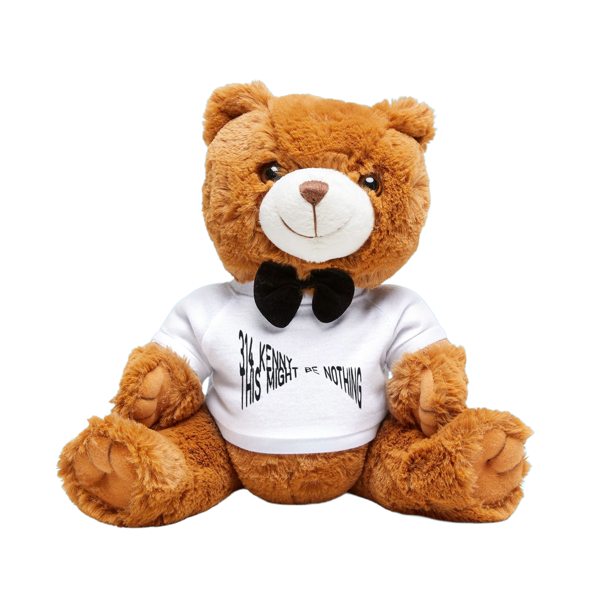 THIS MIGHT BE NOTHING TEDDY BEAR