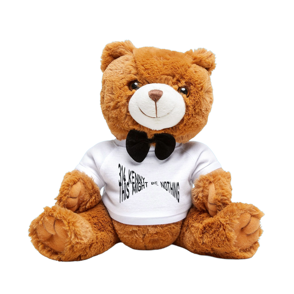 THIS MIGHT BE NOTHING TEDDY BEAR